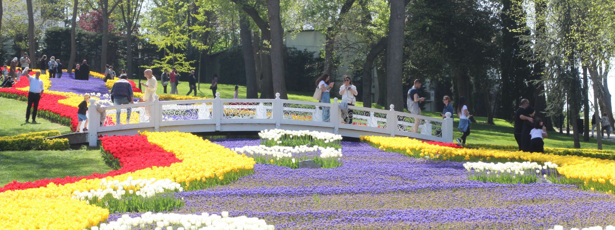 WÊNE - Festîvala Laleyan li Stenbolê şahiyeke dîtbarî pêşkêş dike