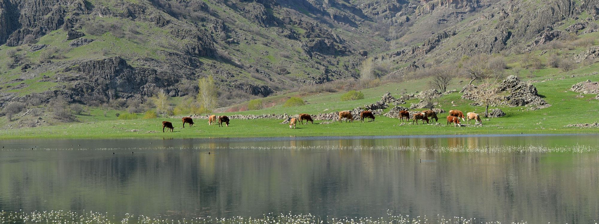 FOTO: Dersim'deki Sülüklü Göl baharla birlikte şenlendi