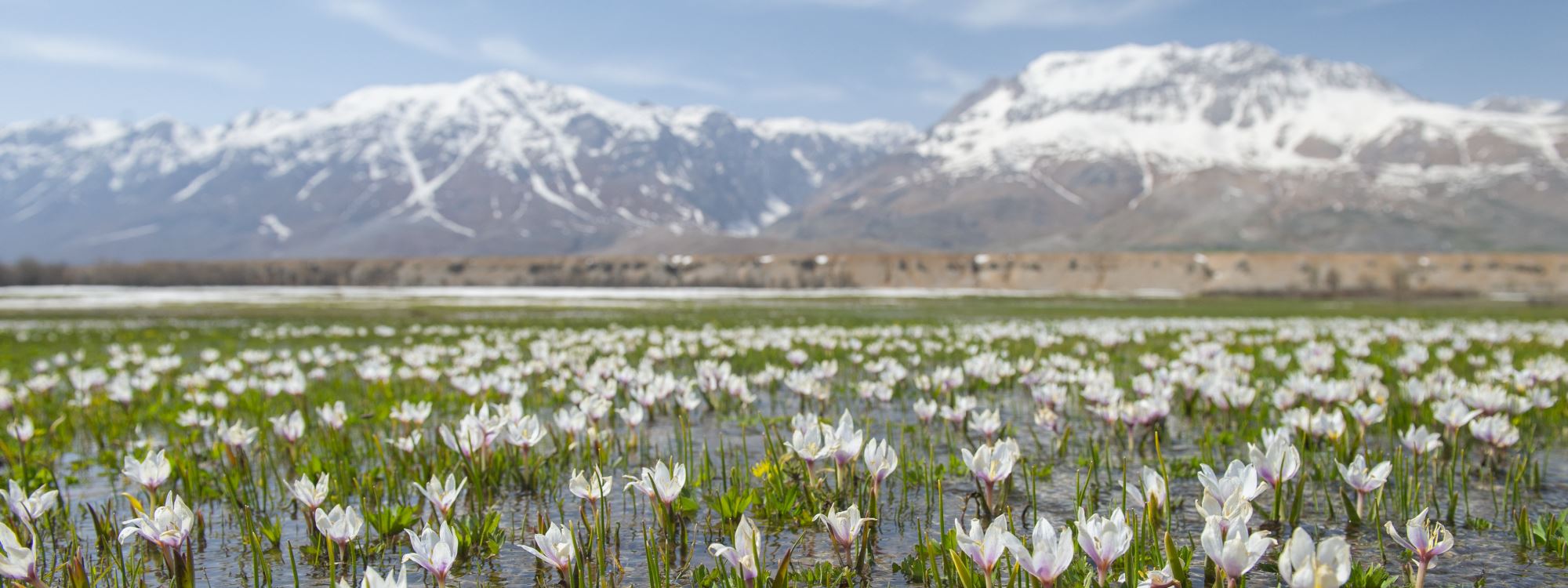 Fotoğraflarla Dersim’den bahar manzaraları