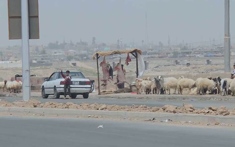 Li Kerkûkê yekem pêketina taya bi xwîn hat tomarkirin