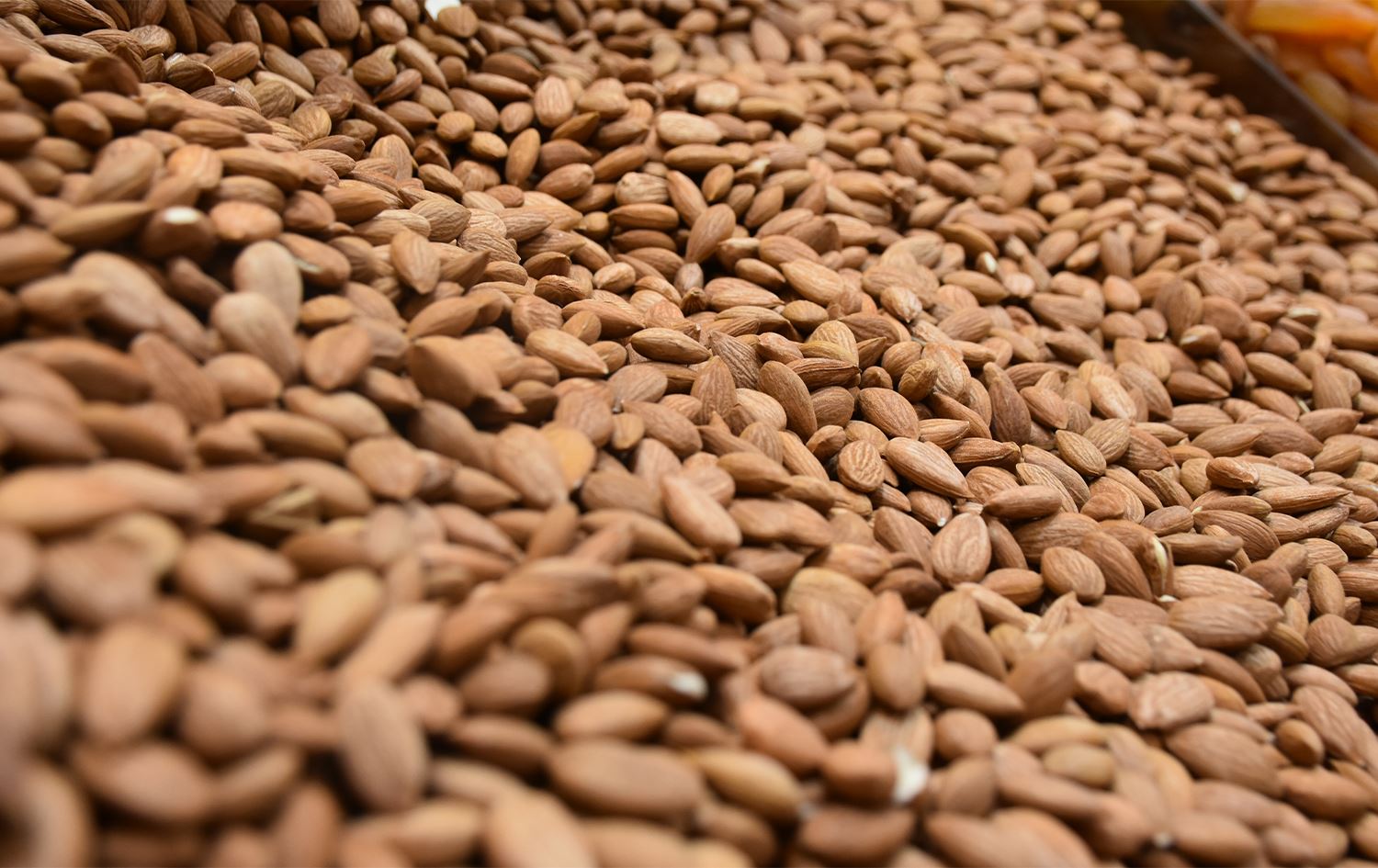 Meletiyê bi qasî 5.2 milyon dolar dendikên qeysiyan hinarde kiriye