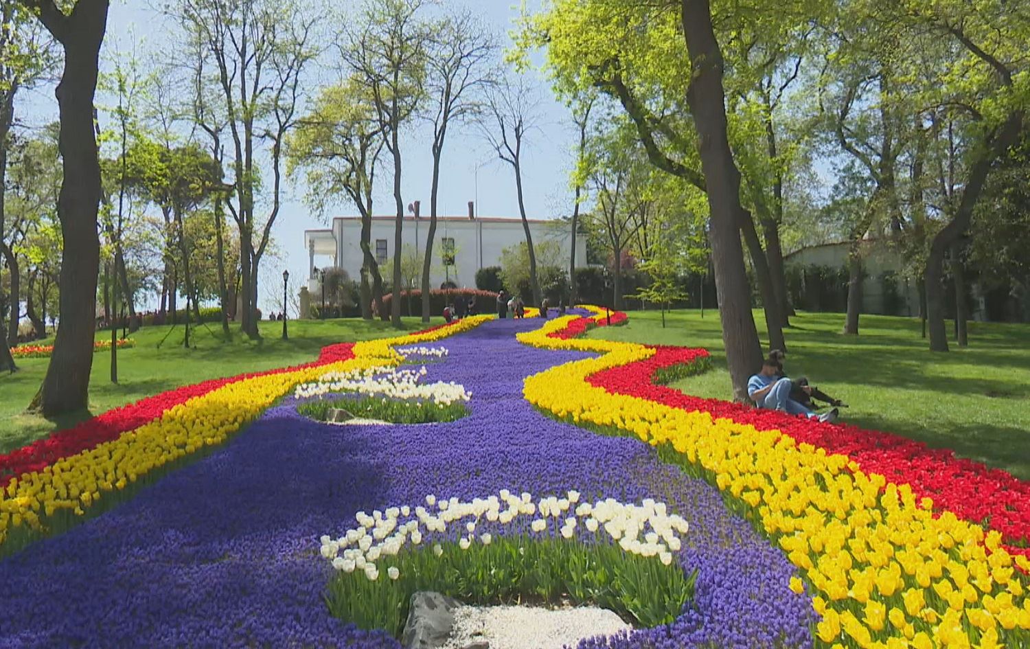 Bi milyonan helale li parkan û cihên giştî hatin çandin