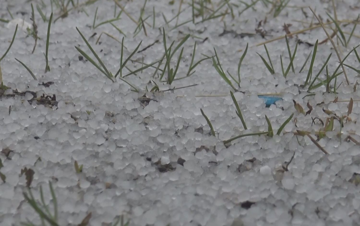 Li Qersê berf û teyrok bariya