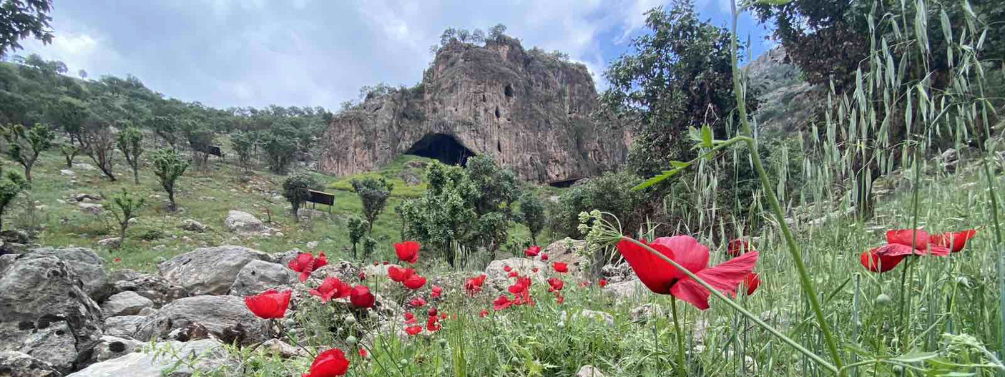 Geştek di nav Şikefta Şanederê de