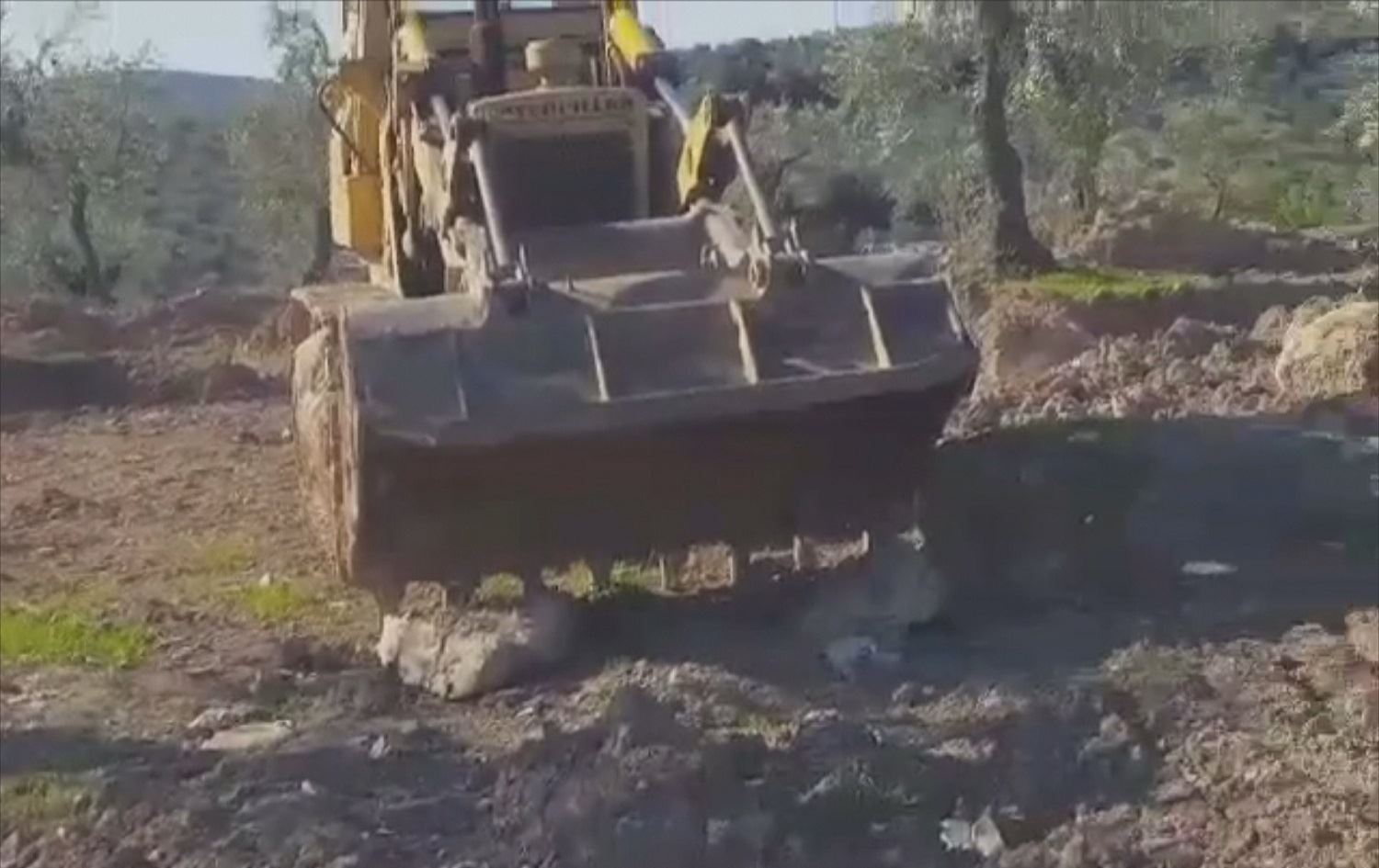 Li Efrînê çekdar Kurdan neçarî firotina baxçeyên xwe dikin