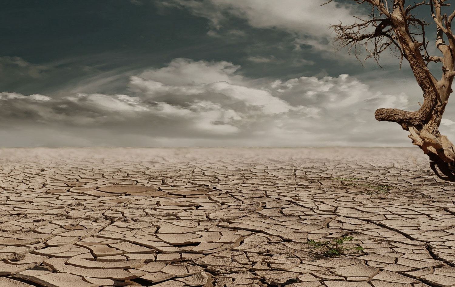 Pisporên jîngehê pêşbînî dikin pileyên germê zêdetir bilind bibin