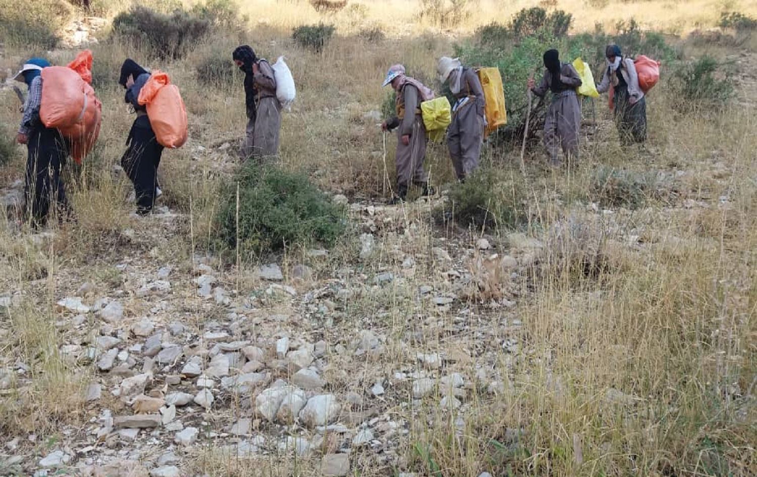 Rojhilat'ın sınır köylerindeki kadınların yüzde 10’u kolberlik yapıyor