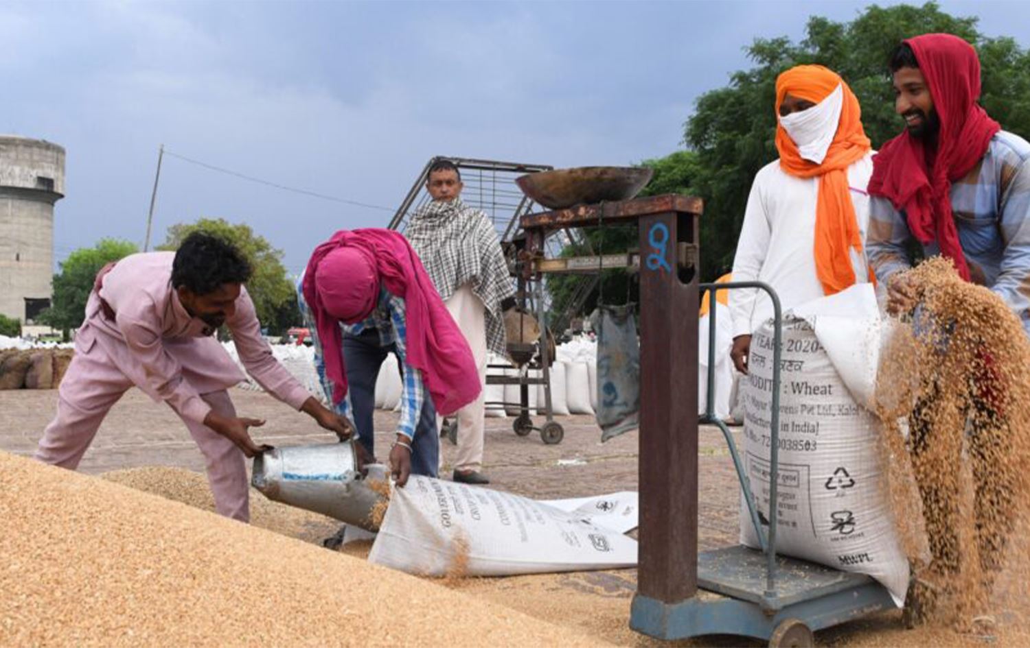 Hindistan’ın ihracatı durdurmasıyla buğday fiyatları rekor kırdı