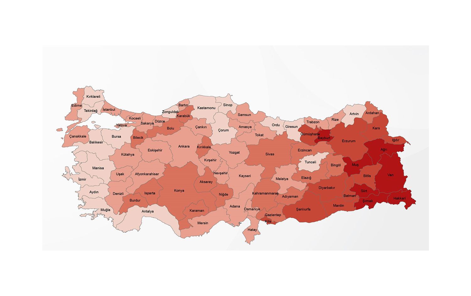 En fazla genç nüfusa sahip iller Hakkari, Şırnak ve Siirt