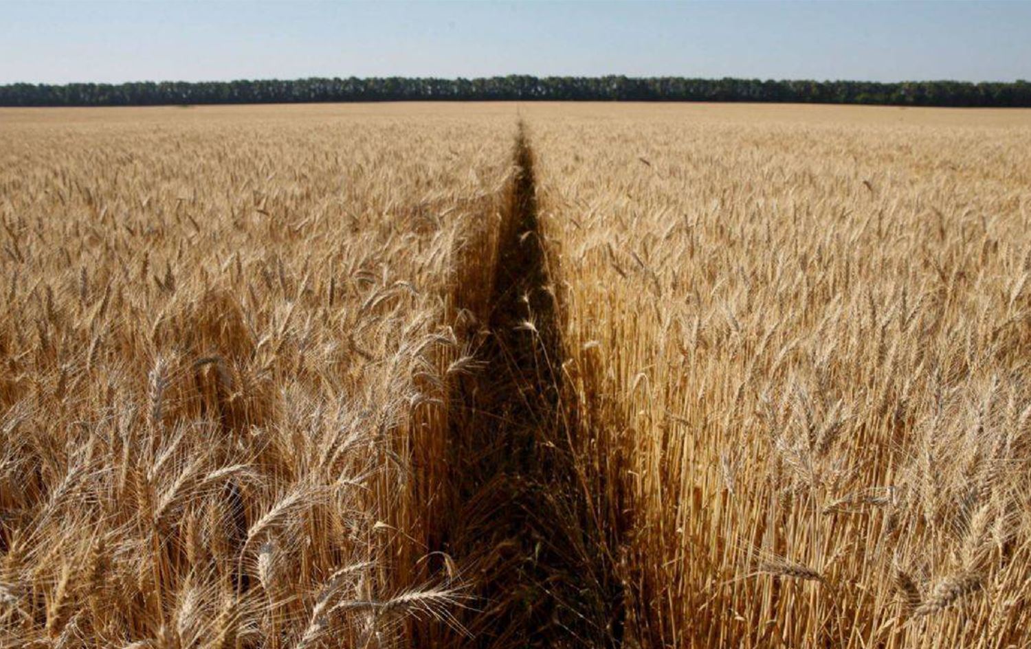 BM’den küresel kıtlık uyarısı: Kalbiniz varsa limanları açın!