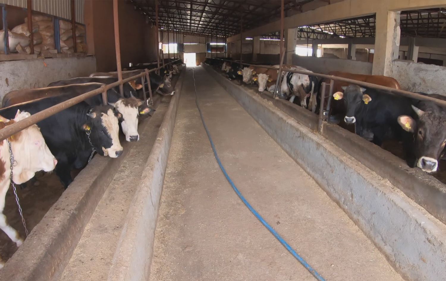 Li Bakurê Kurdistanê ajeldarî li ber keviya îflasê ye