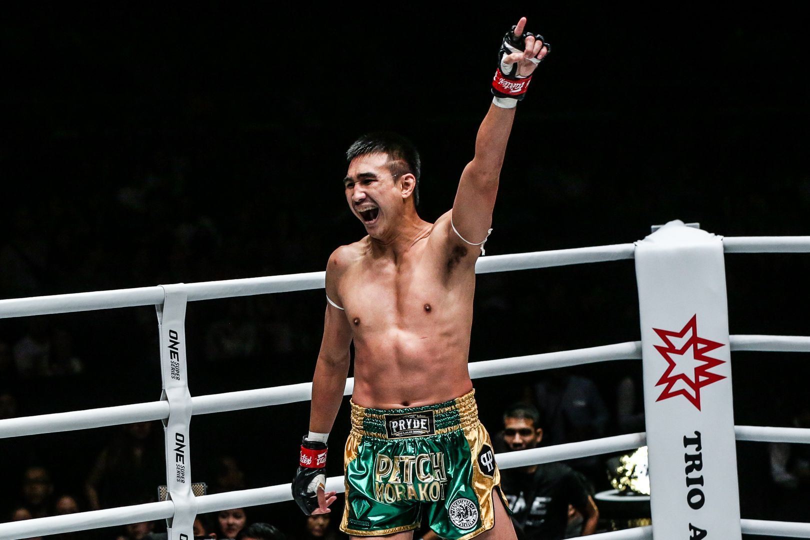 ڤیدیۆیەکی سەرنجڕاکێشی پاڵەوانێتی هونەرەکانی شەڕ