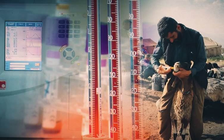 Irak'ta hemorajik ateş vakalarında artış