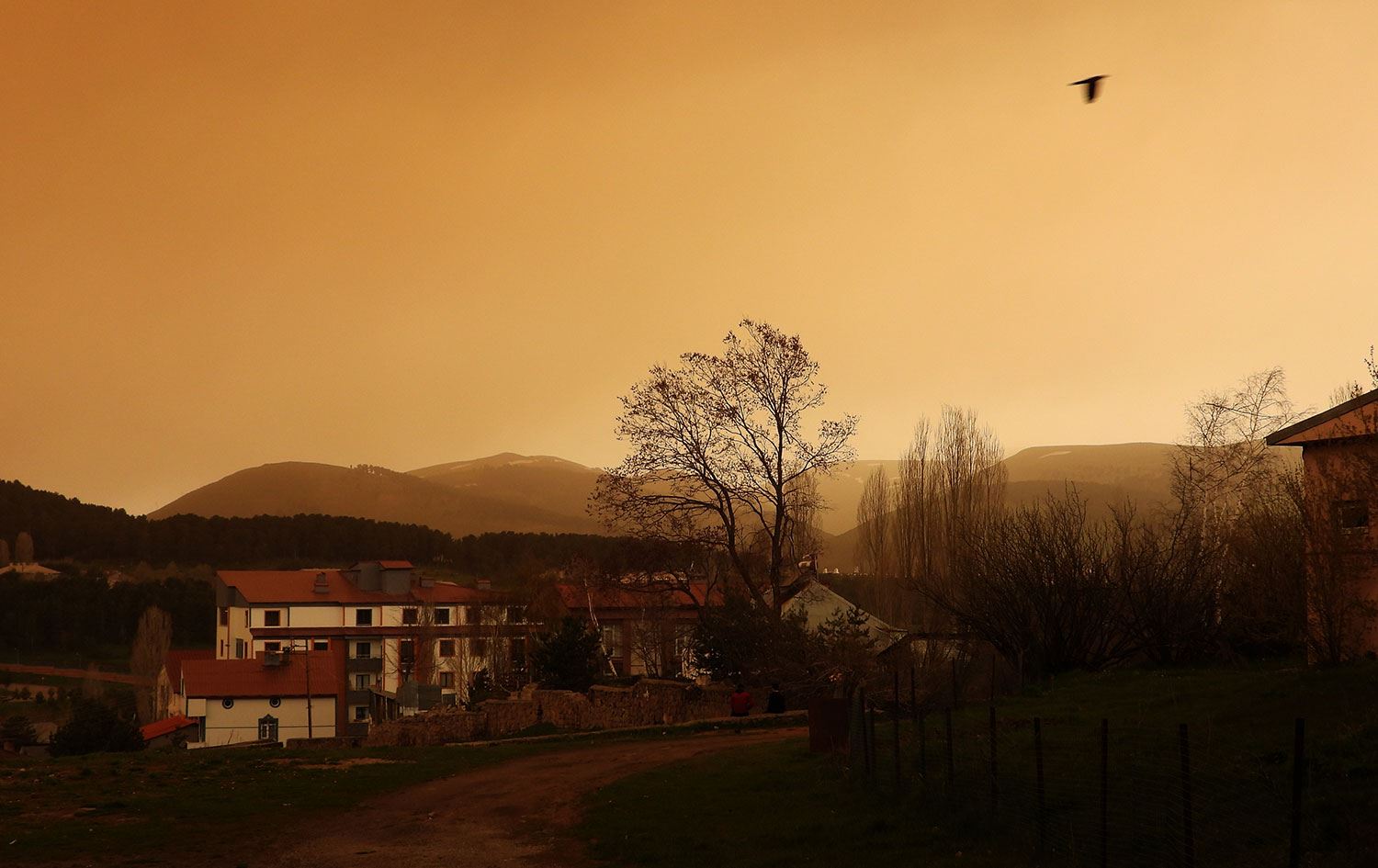 Erzurum, Kars, Şırnak, Dersim ve Bingöl’de de toz bulutu