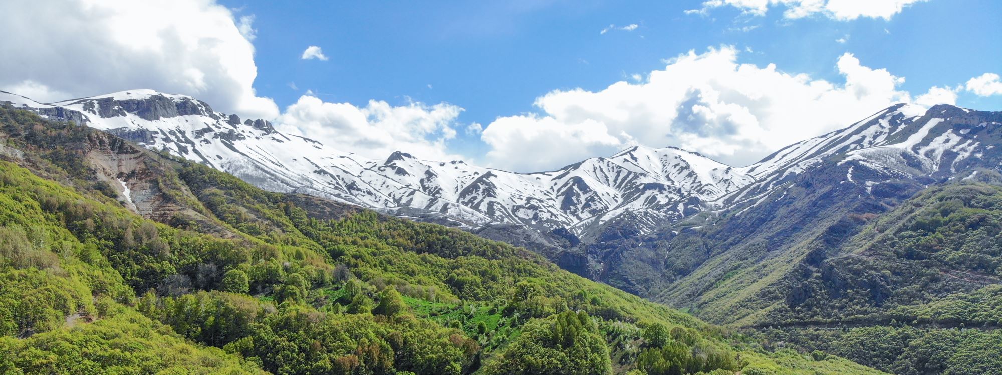 Fotoğraflarla Dersim Salördek Ormanları