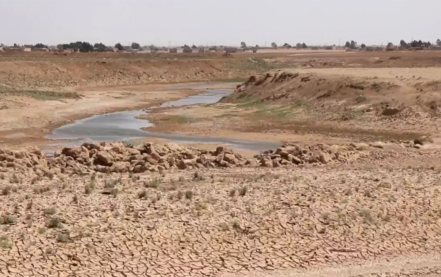 Hişkesaliyê ziyaneke zêde gihandiye cotkarên Rojavayê Kurdistanê