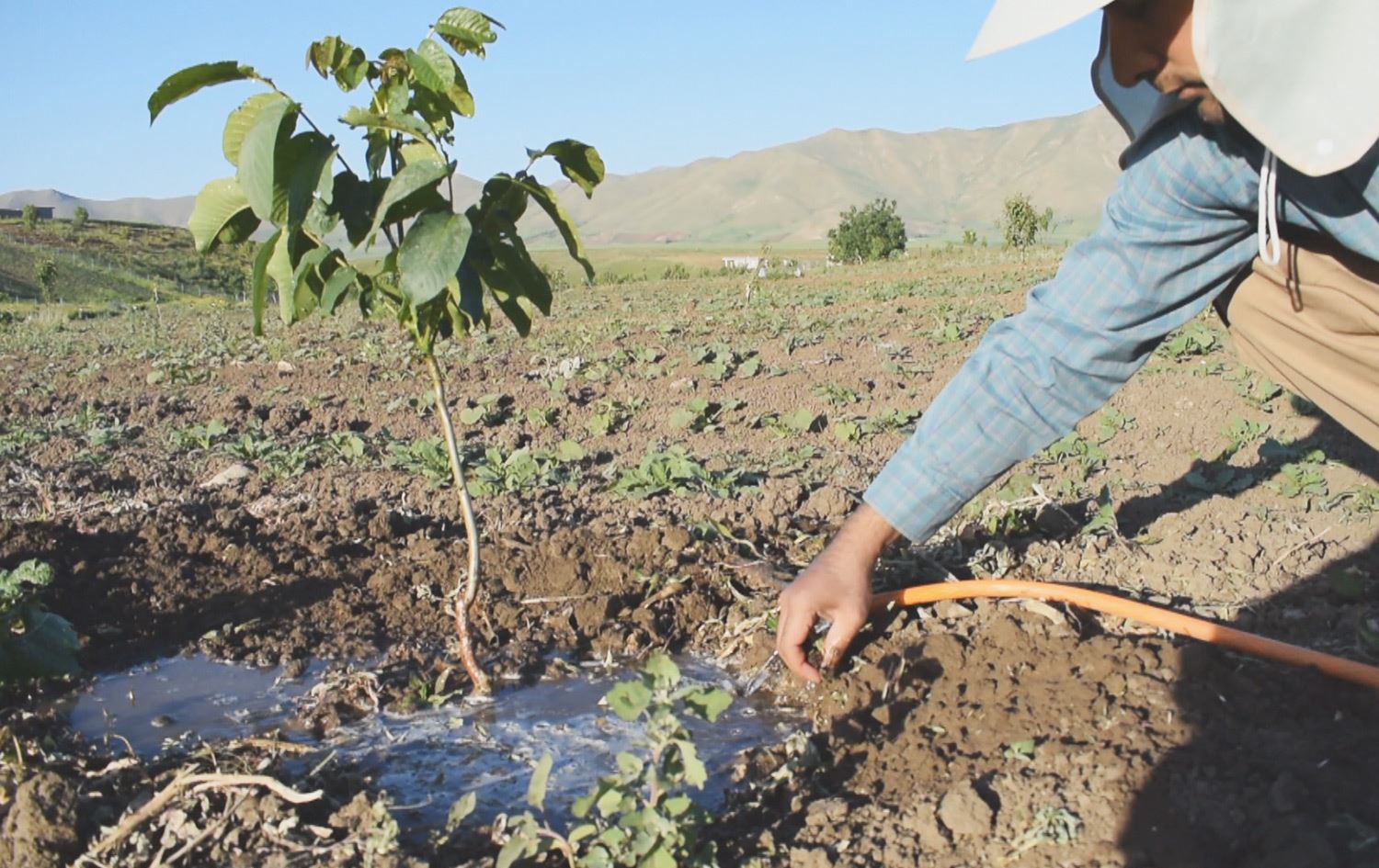 حکومەتی ئێران رێگە بە جووتیارانی پیرانشار نادات ئاوی بەنداوی کانی سێو بەکاربێنن