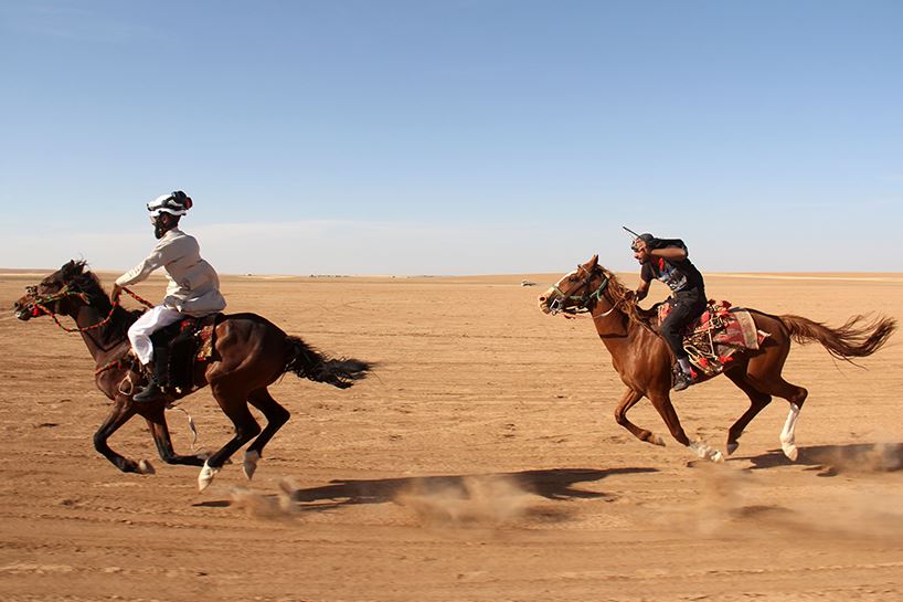 Safkan Arap atları da Suriye savaşından etkilendi