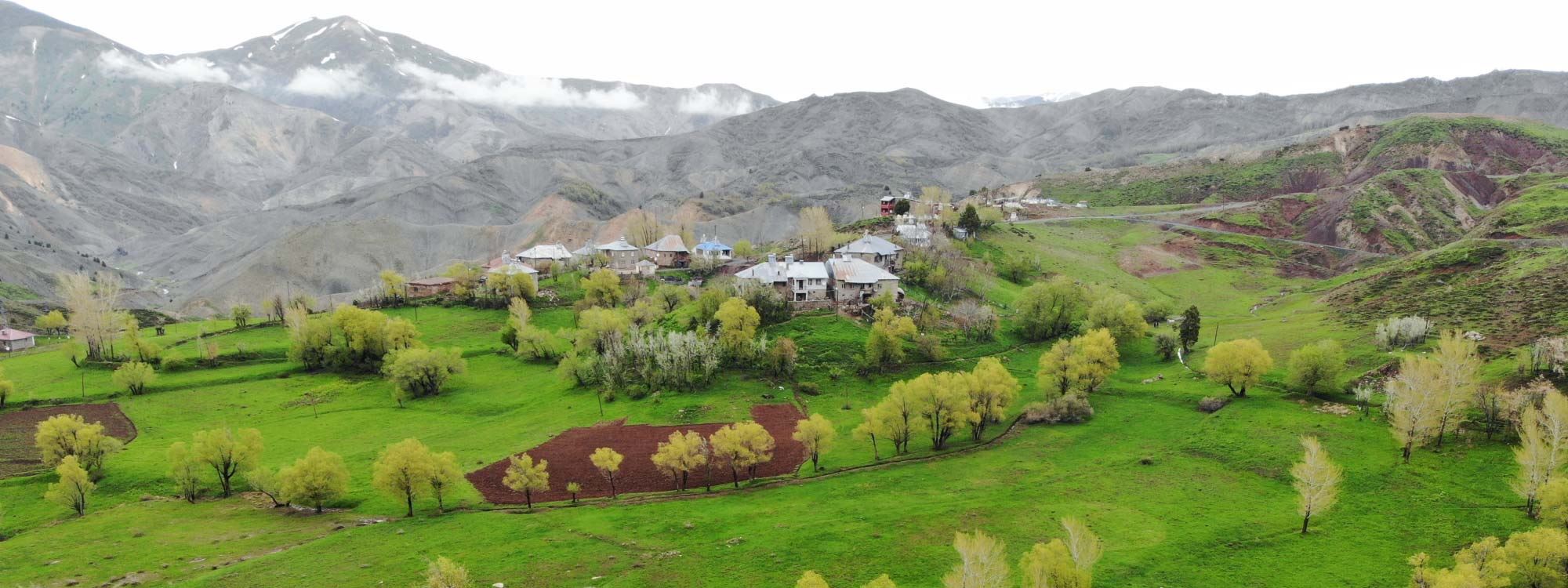 FOTO - Dersim’in 3 bin rakımlı dağ köyleri yeşile büründü