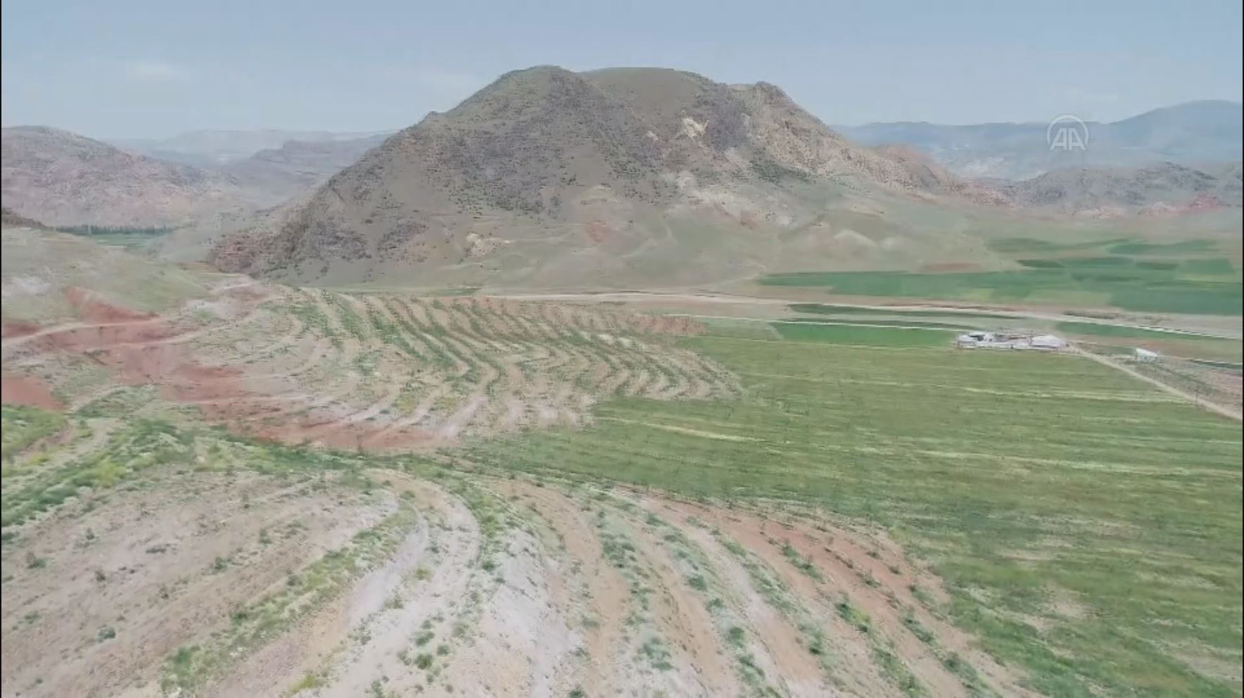 لە ئەرزەڕۆم هاونیشتمانییەک 16 هەزار نەمامی گوێز دەچێنێت