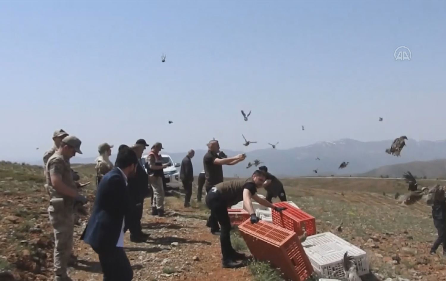 500 کەو لە ئەرزەڕۆم گەڕێندرانەوە نێو سرووشت