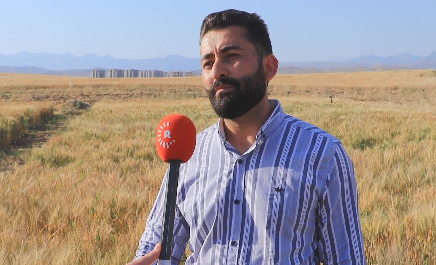 Kesekî li Zaxo 130 corên genim çandine