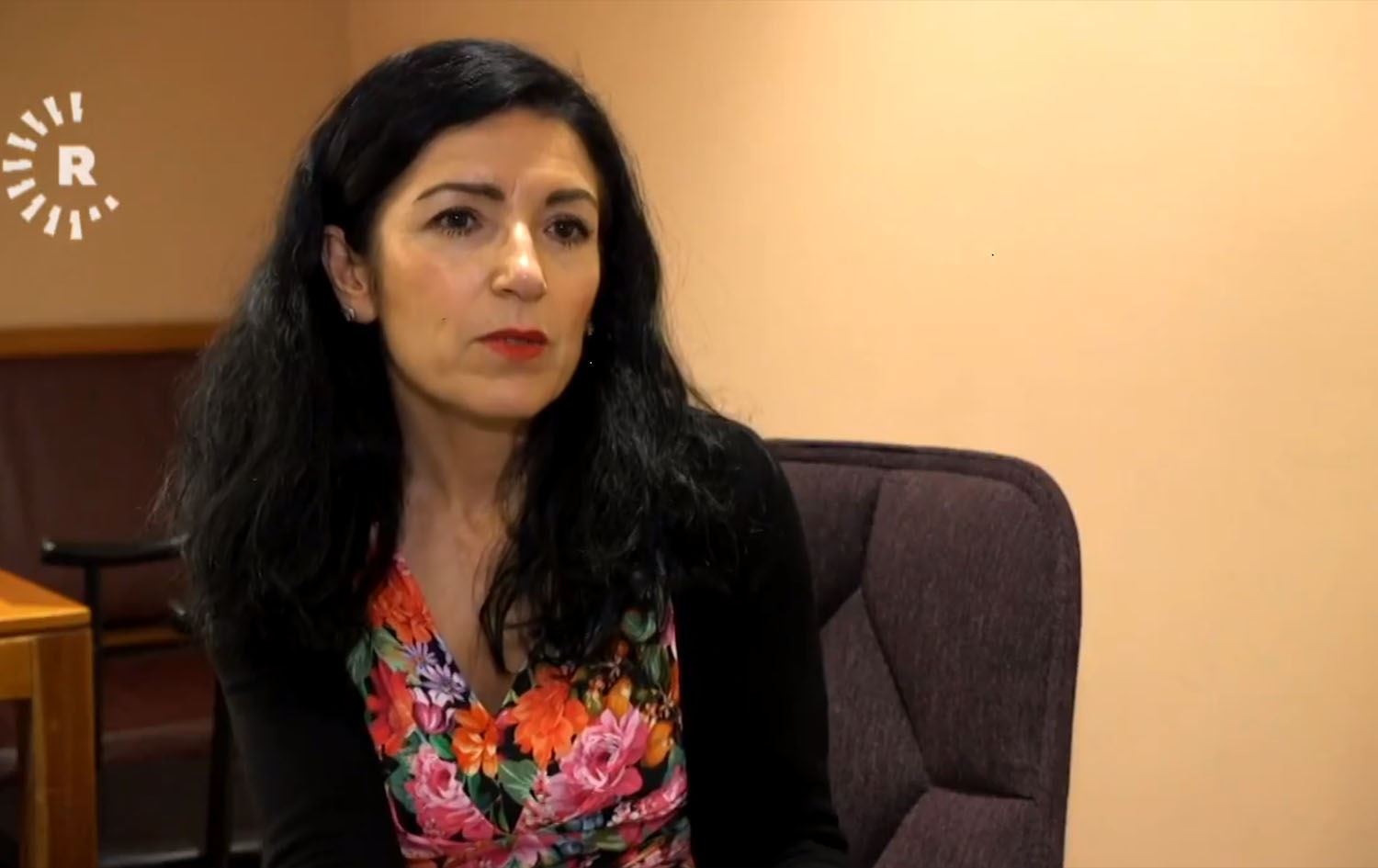 Amineh Kakabaveh: İsveç hükümetinden Rojava'ya yardım garantisi aldım