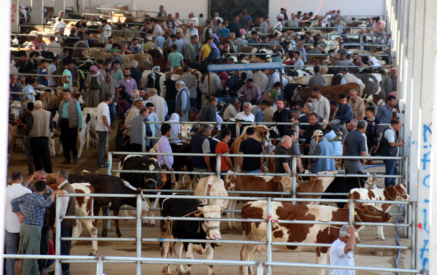 Li Rihayê bazara ajelan ji niha ve geş bûye