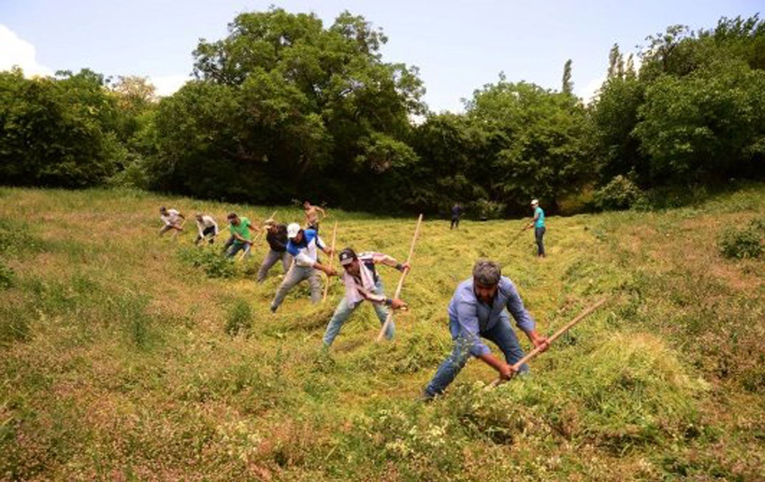 Bitlis’te ot biçme kavgası; 1 ölü, 2 yaralı