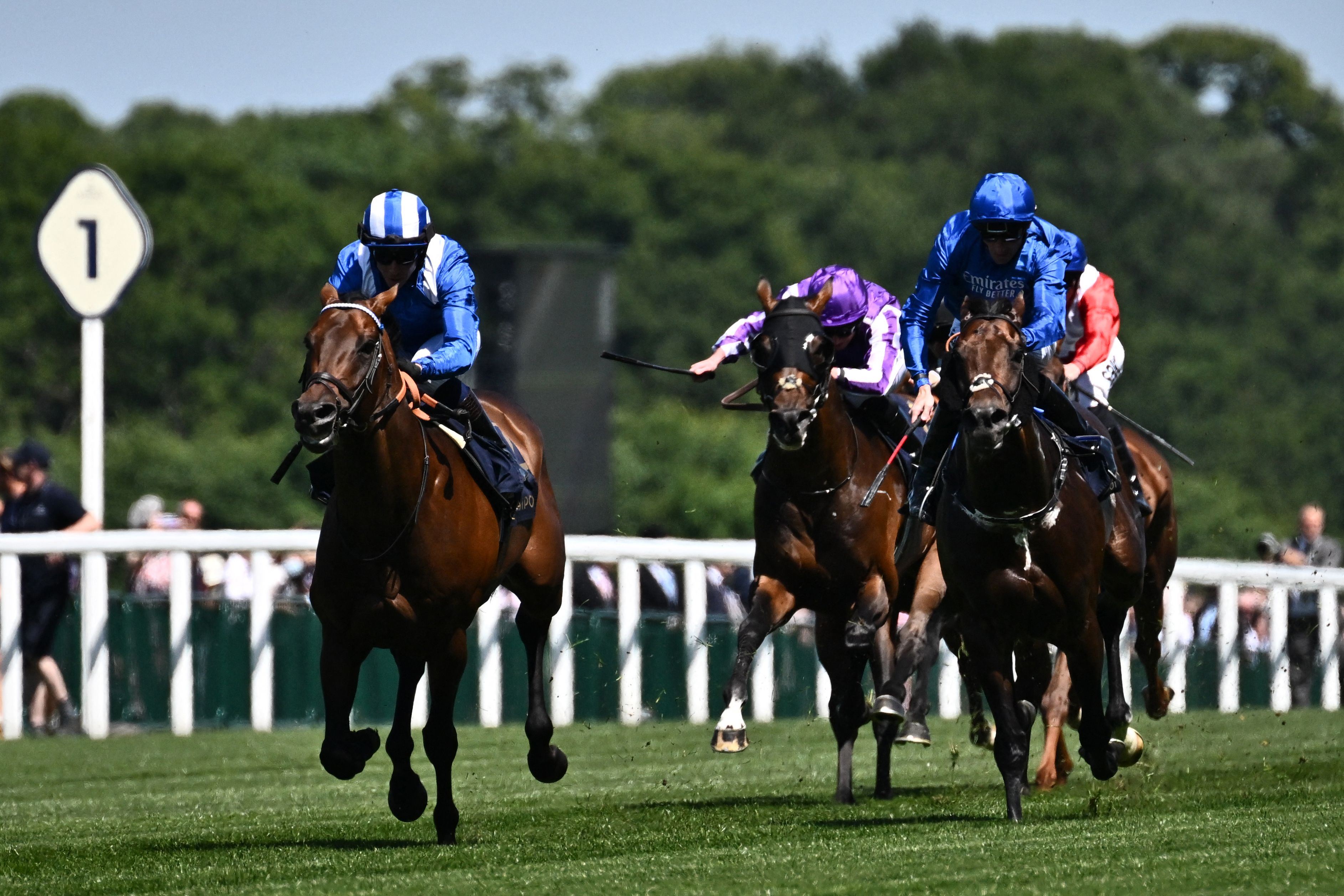 ڤیدیۆ؛ ئەسپی ستریپ یەکەم بوو