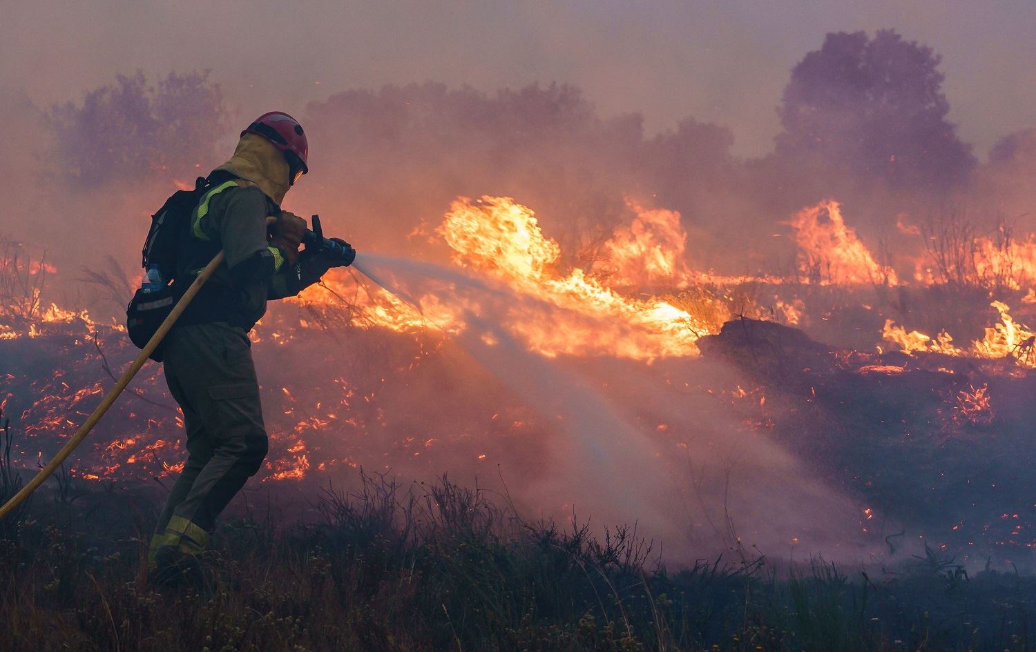 Li Spanyayê şewata daristanan didome; Gelek bax û daristan şewitîn
