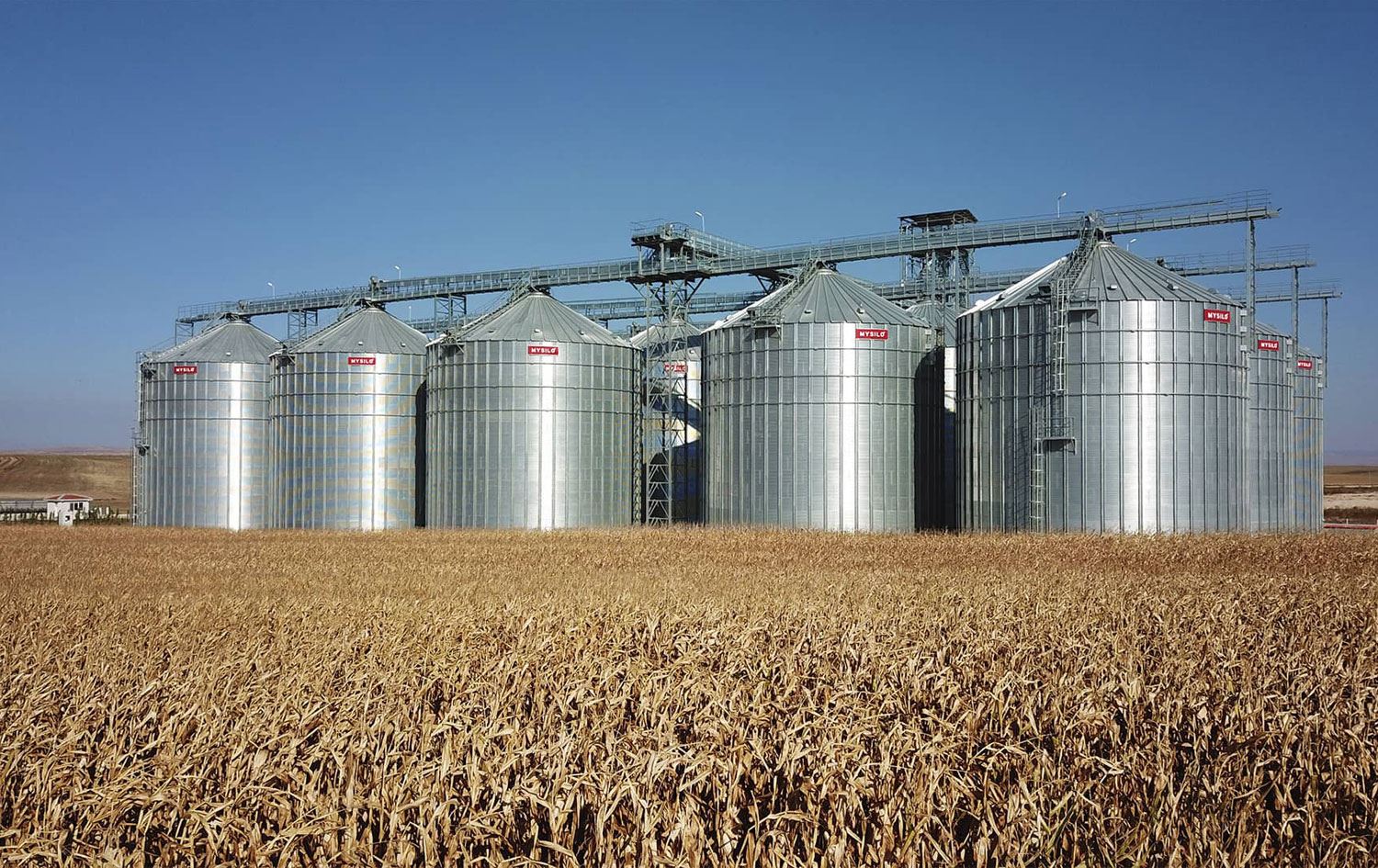 ROJAVA- Şu ana kadar çiftçiden 270 bin ton buğday alındı