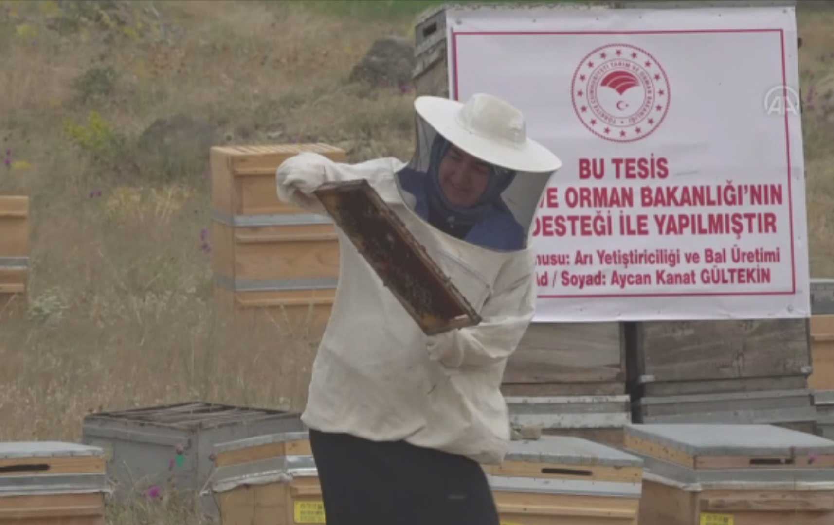 لە وان دوو ژن لە پرۆژەیەکدا دەبنە بەرهەمهێنەری هەنگوین