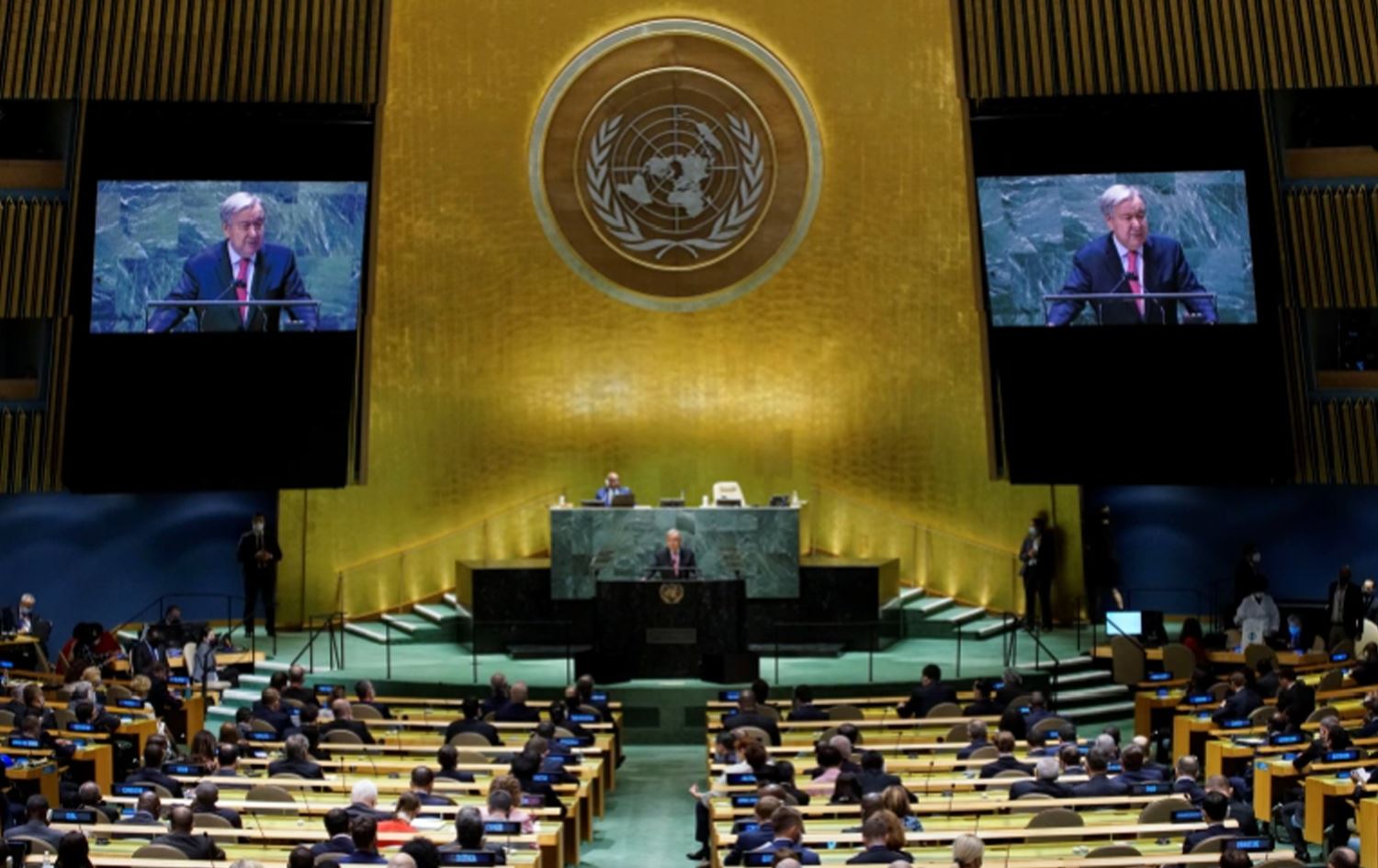 41 rêxistinan ji Netewên Yekbûyî re nameyek şandin