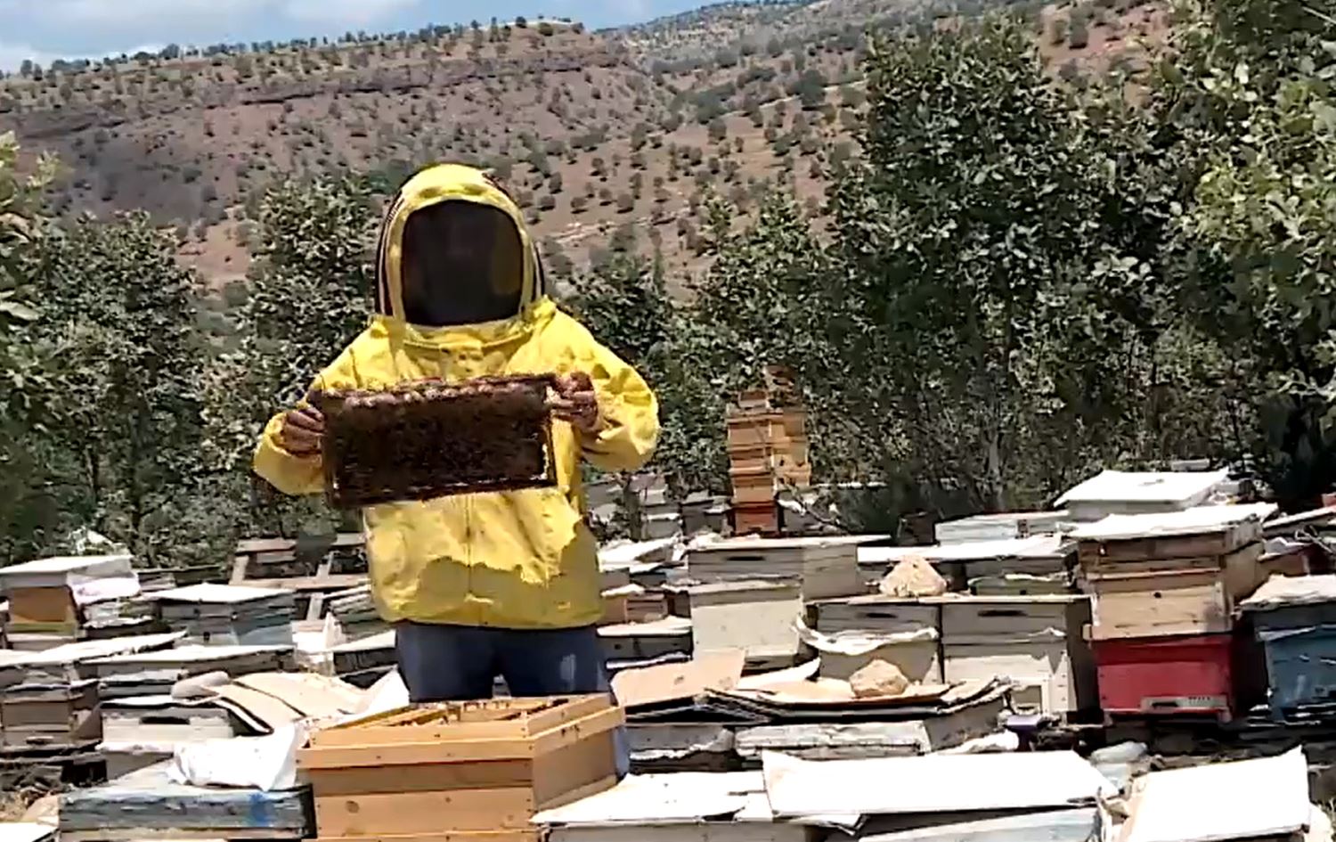 Bombebaranên Tirkiyê ziyaneke mezin daye mêşvanên Amêdiyê
