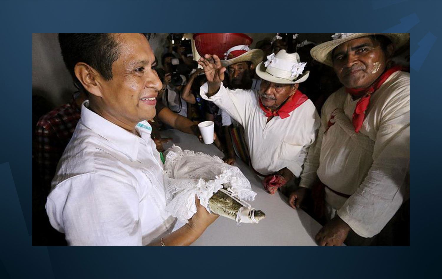 Belediye başkanı, timsahla evlendi