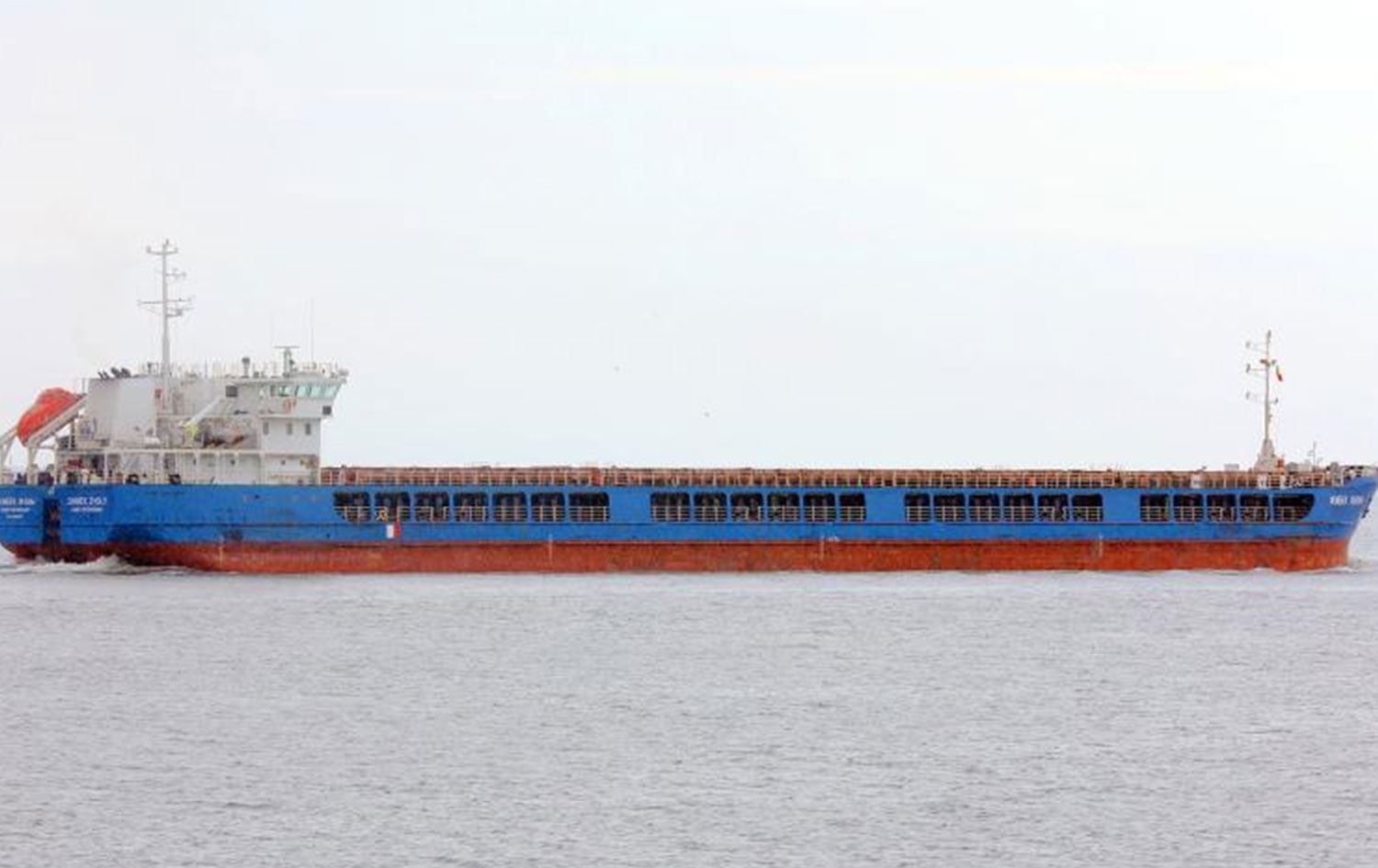 Ukrayna Ankara Büyükelçisi: Türkiye, tahıl yüklü Rus gemisine el koydu