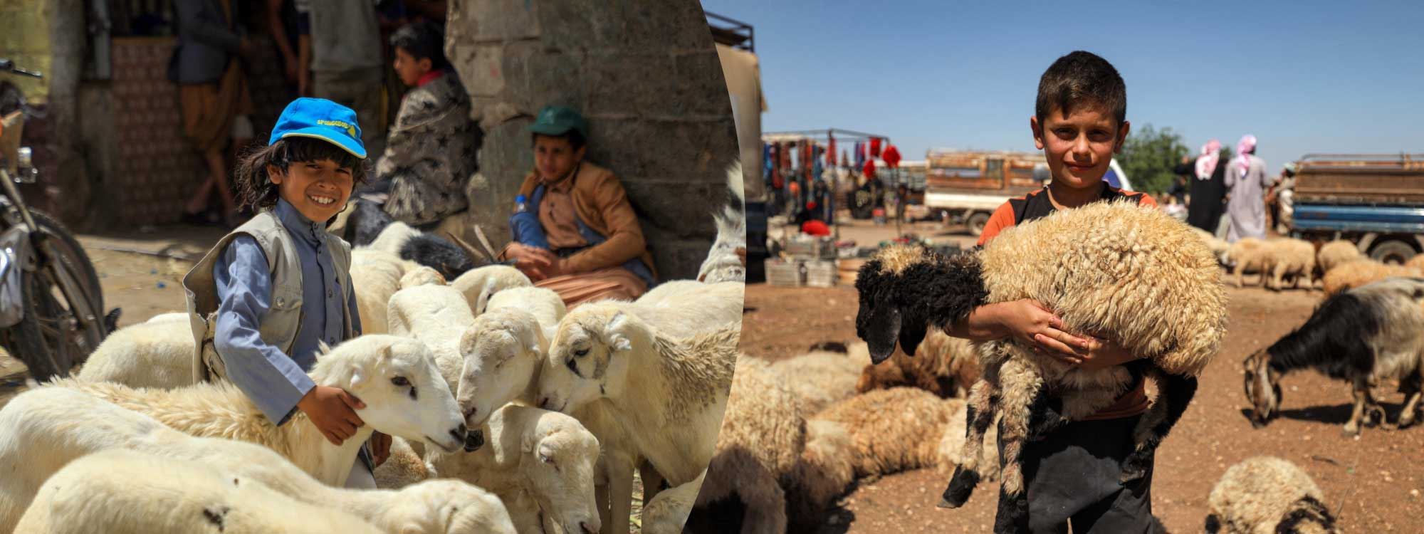 WÊNE - Amadekariyên Cejna Qurbanê