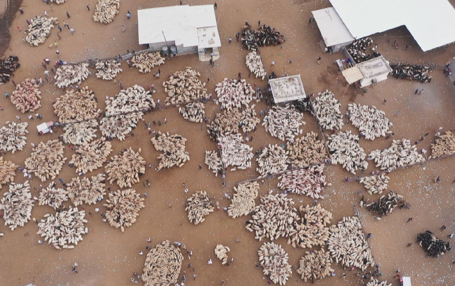 بەبۆنەی جەژنی قوربانەوە نرخی گۆشت دوو هەزار دینار بەرزبووەتەوە