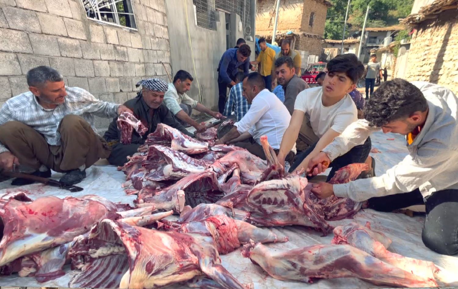 گوندی سرێشمە 25 ماڵی تێدایە و 25 ئاژەڵ کراونەتە قوربانی