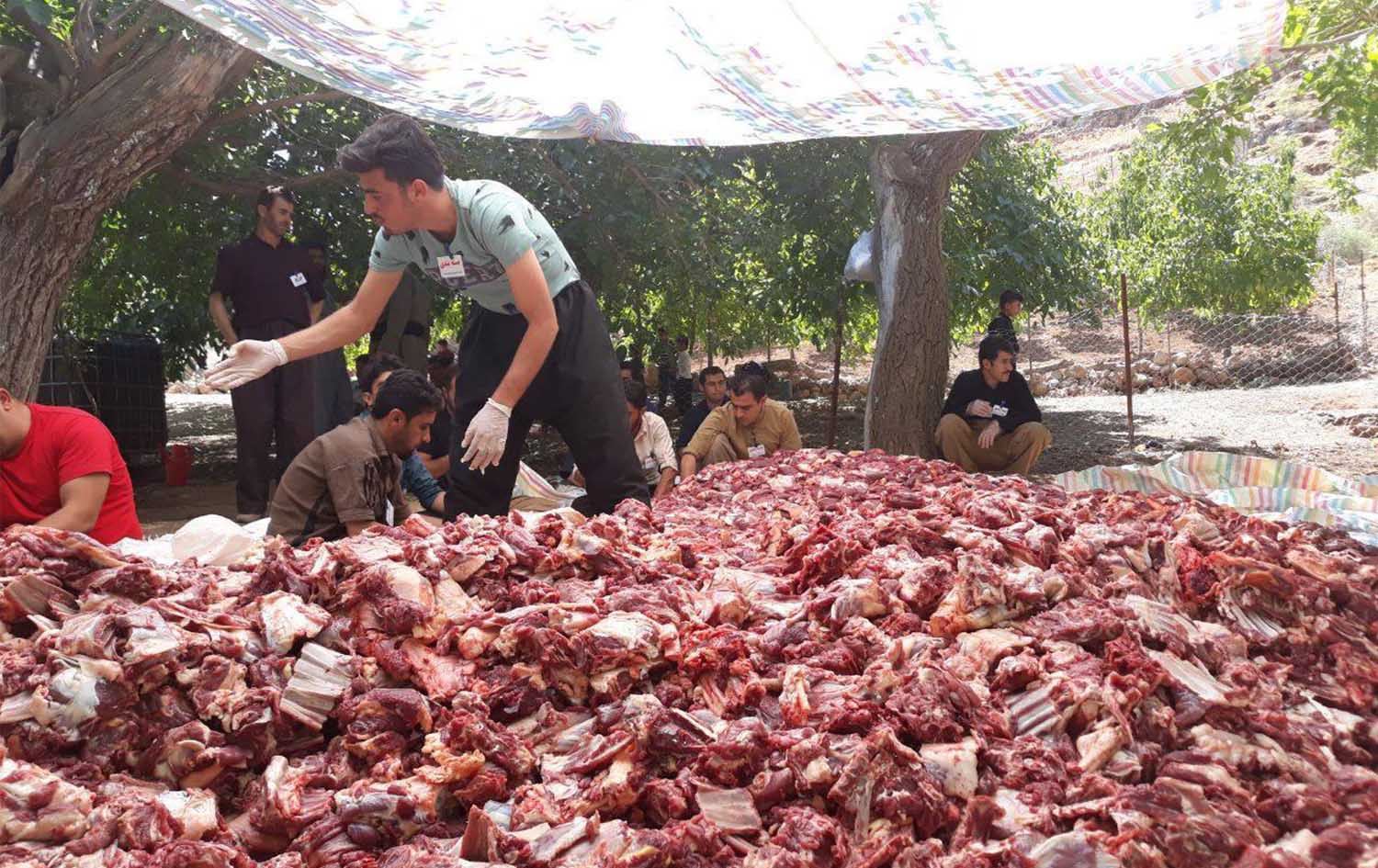 لە گوندێکی رۆژهەڵاتی کوردستان زیاتر لە 600 ئاژەڵ دەکرێنە قوربانی