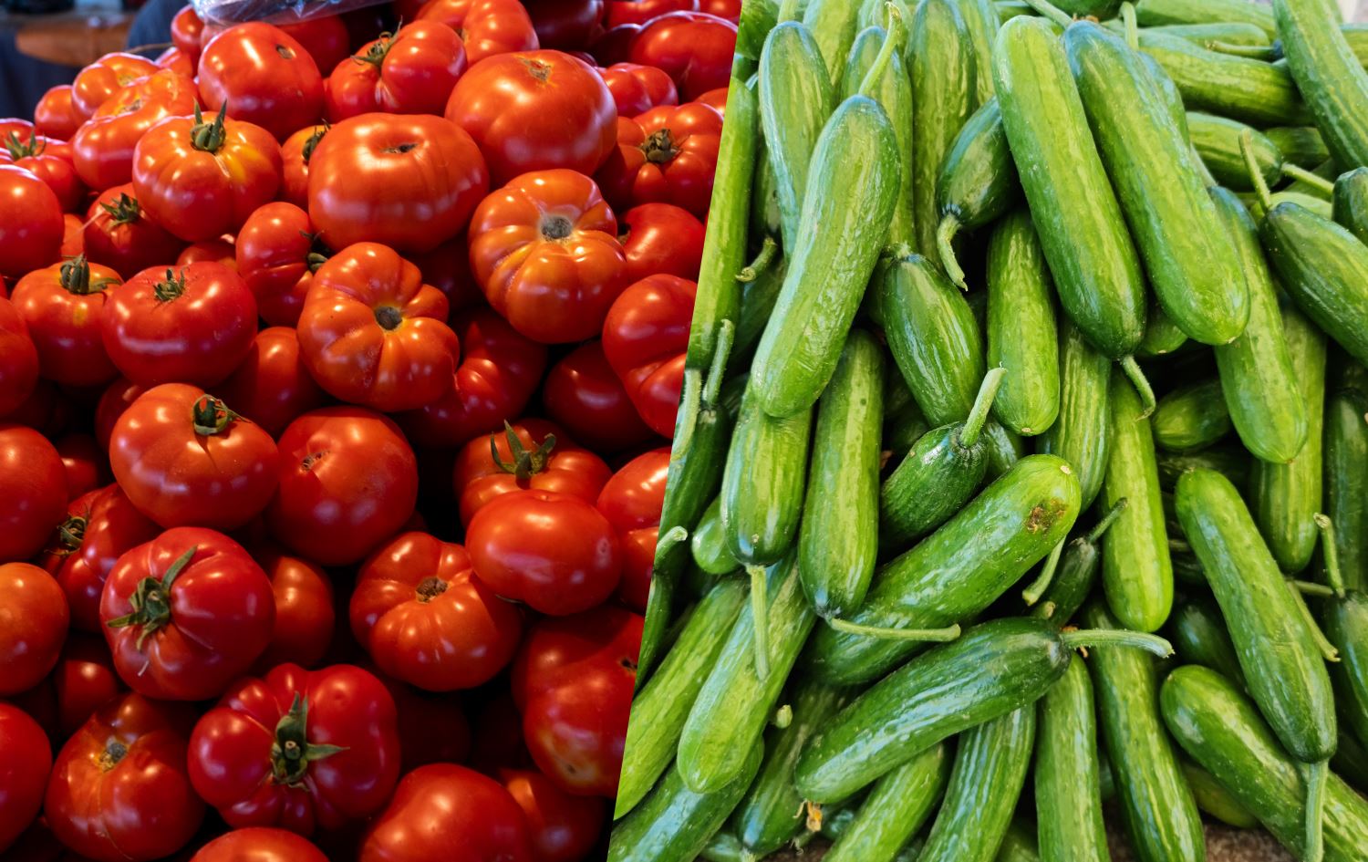 گوتەبێژی وەزارەتی کشتوکاڵ: عێراق هاوردەکردنی تەماتە و خەیاری قەدەخەکرد