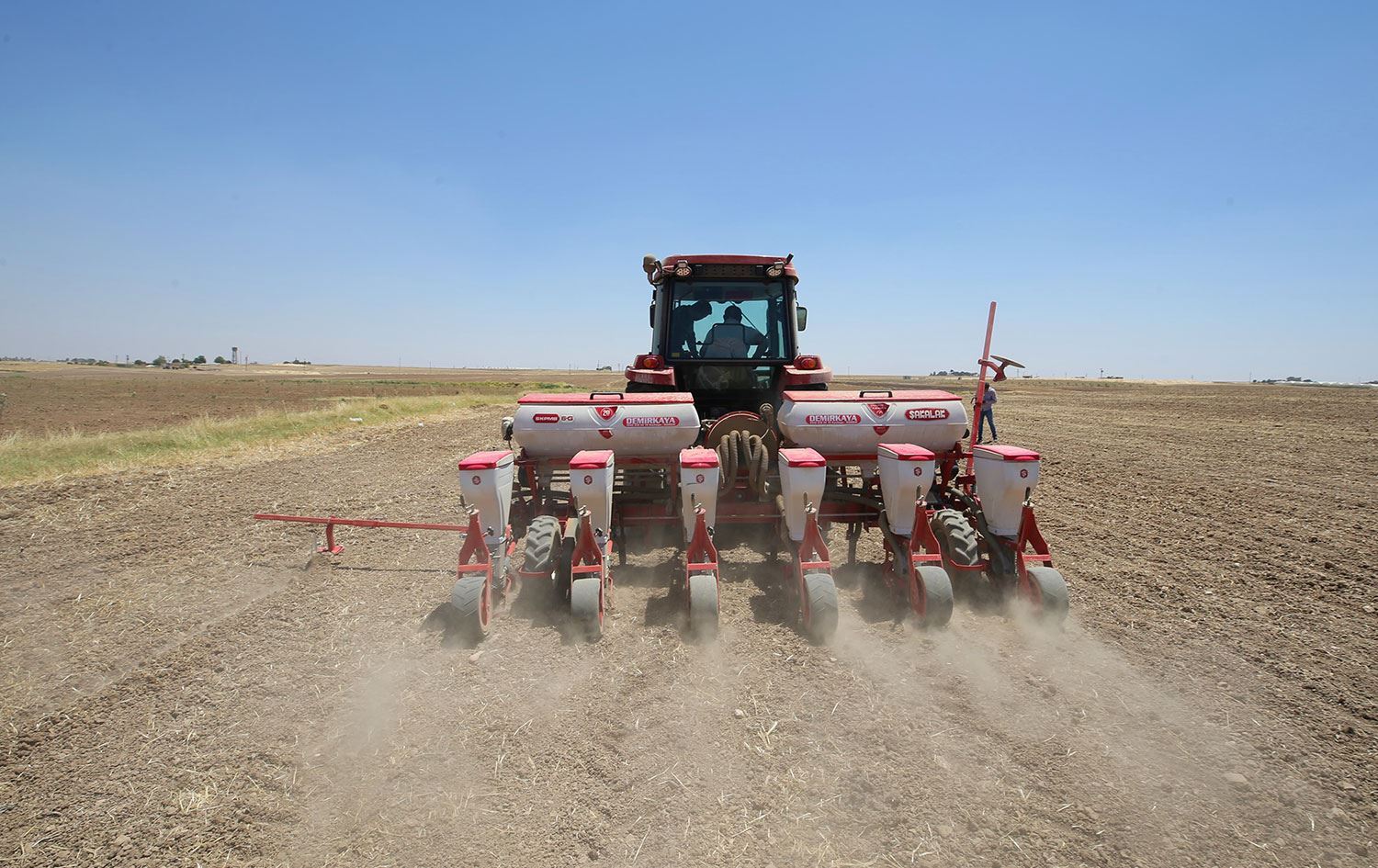 Li Mêrdînê çandina garis dest pê kir