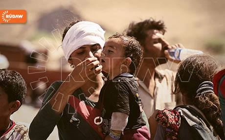 كوردە ئێزدییەكان لە شنگالەوە دەگەنە ئەسینا