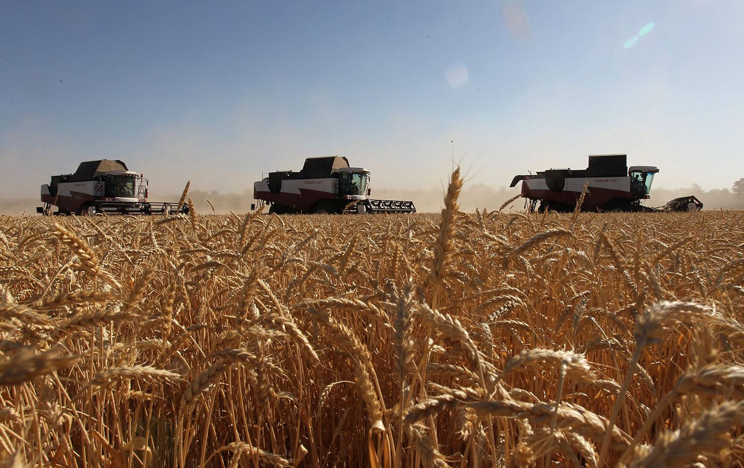‘Tahıl koridoru’ için dörtlü zirve yarın yapılıyor