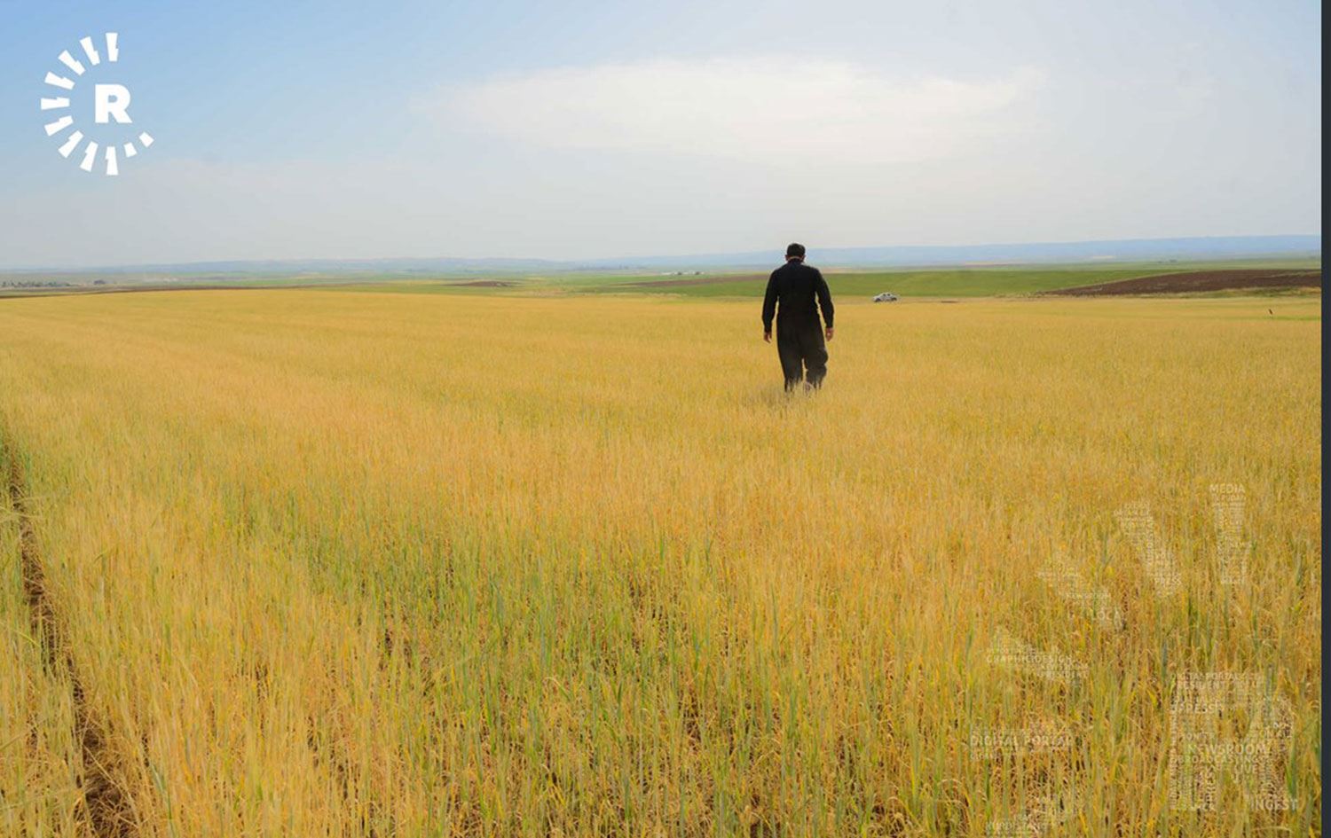 Irak, Kerkük'te çiftçilerden 180 bin ton buğday satın aldı