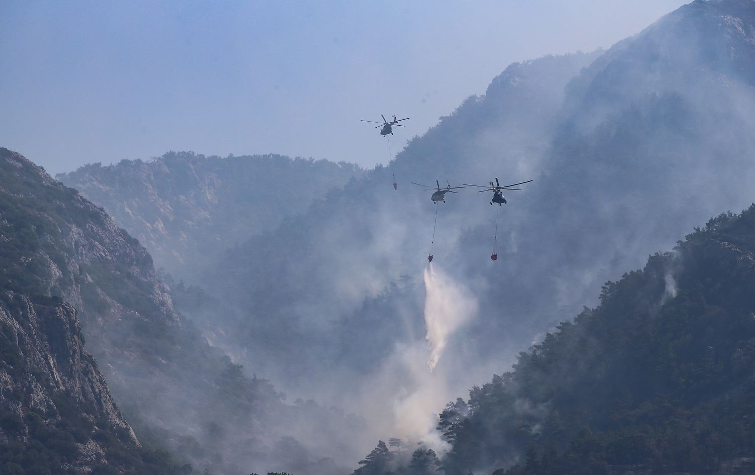 Agirê daristana li Datçayê hat vemirandin