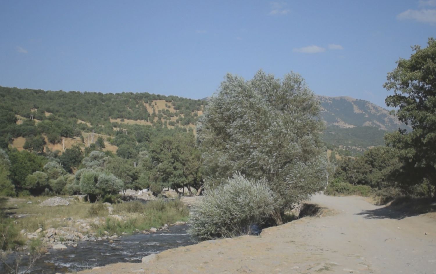 بەهۆی وشکەساڵییەوە، رووداوی ئاگرکەوتنەوە لە دارستانەکانی رۆژهەڵاتی کوردستان زیادیان کردووە
