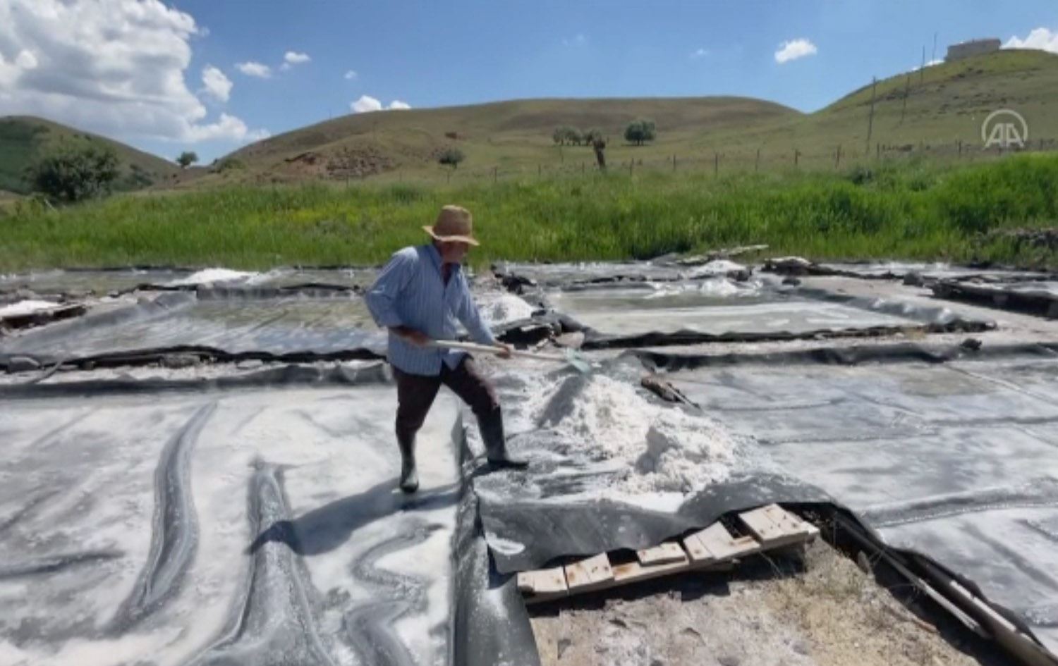 گەرمای ئەمساڵ لە دێرسیم بەرهەمی خوێ زیاد دەکات