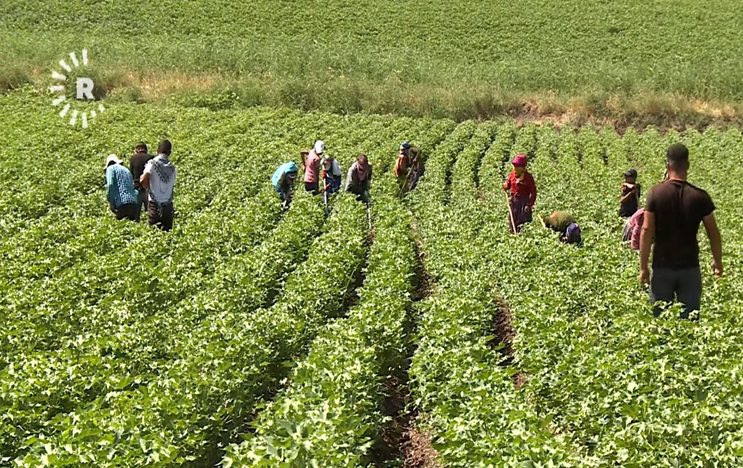 TÜRKİYE - Tarımda üretici enflasyonu yıllık yüzde 149 oldu